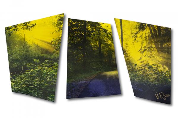 The Creek, the Road, the Forest—Triptych picture