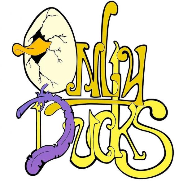 Only Ducks, llc