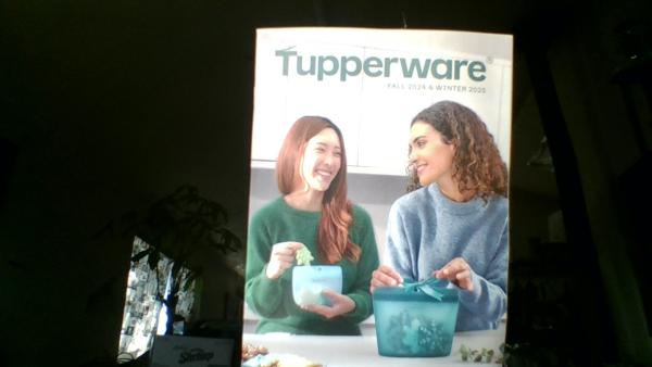 beedazzel tupperware