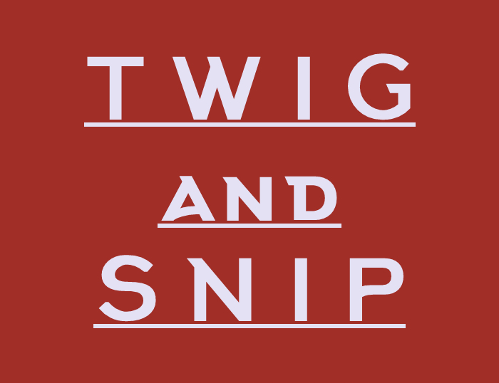Twig and Snip