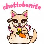 ChottoBonita