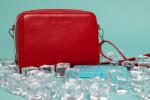 Insulated Purse Red