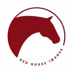 Red Horse Images