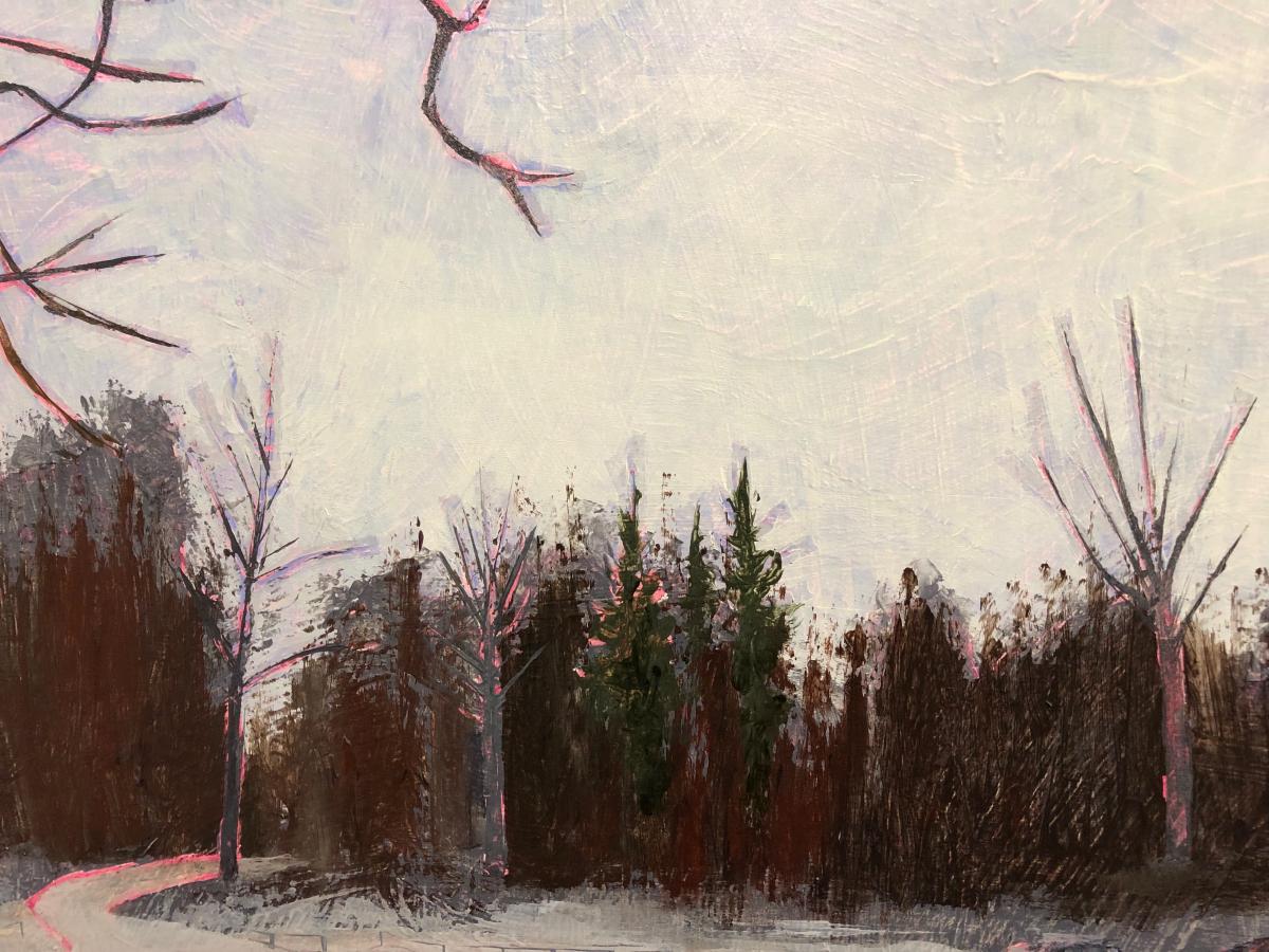 Afternoon Skate picture