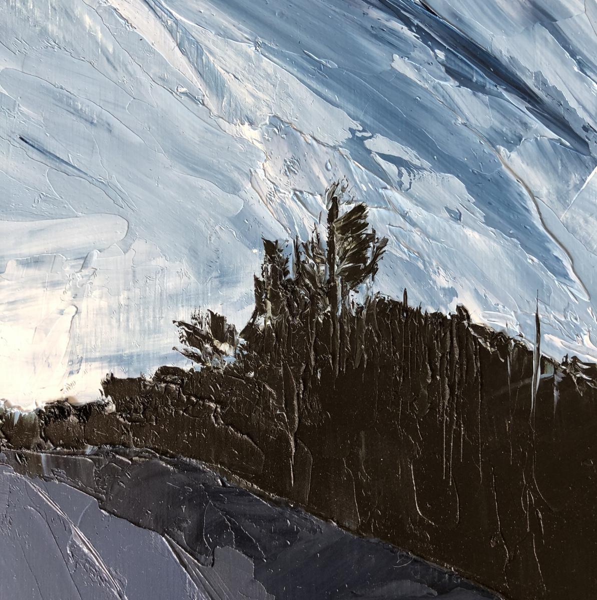 Dancing Pine picture