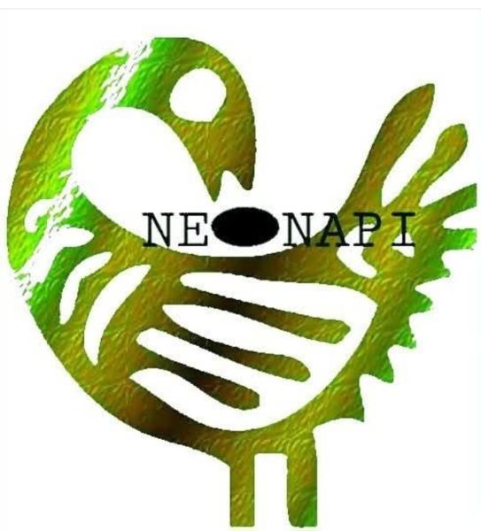 Neonapi