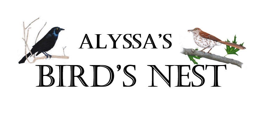 Alyssa's Birds Nest