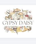 Gypsy Daisy