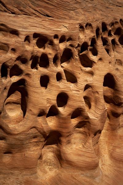 "Little Wild Horse Canyon" picture