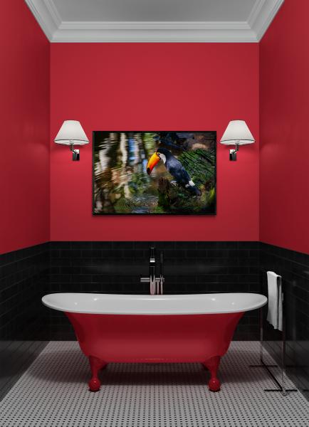Toucan Reflections picture