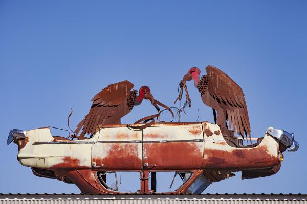 "Like Vultures on a Ford" picture