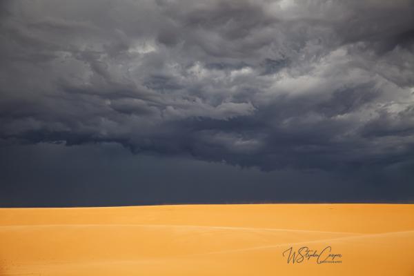 "Coral Desert Storm" picture