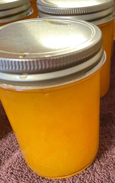 Calamondin Orange Marmalade picture