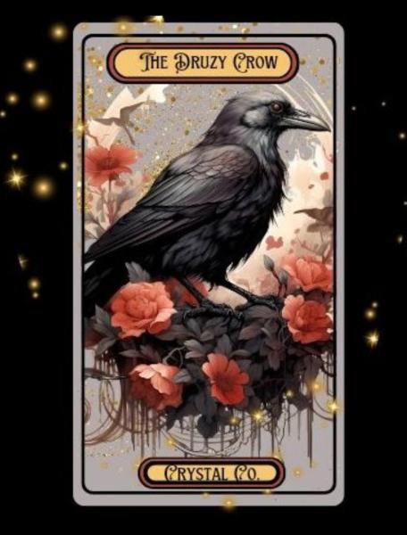 The Druzy Crow Crystal Co.
