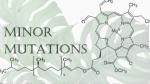 Minor Mutations LLC