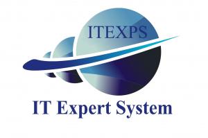 IT Expert System Inc