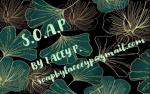 S.O.A.P by Lacey P