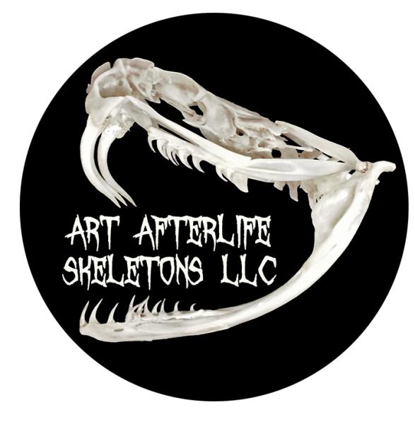 Art Afterlife Skeletons