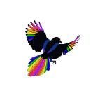 Sednova&rsquo;s Creations