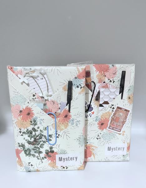 Blind Date with a Book