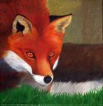 Stalking Fox