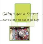 Gaby&rsquo;s Got a Secret, Don&rsquo;t Let the Cat out of the Bag!