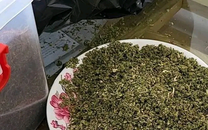 buy k2 spray on paper online picture