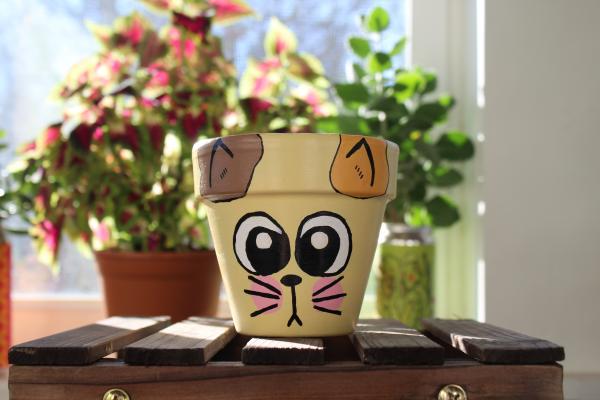 Prettiest Little Pots