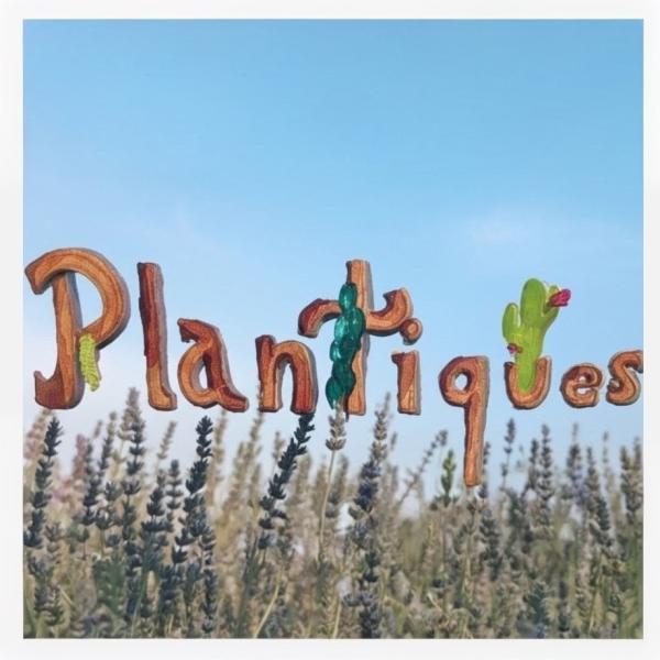Plantiques Shops