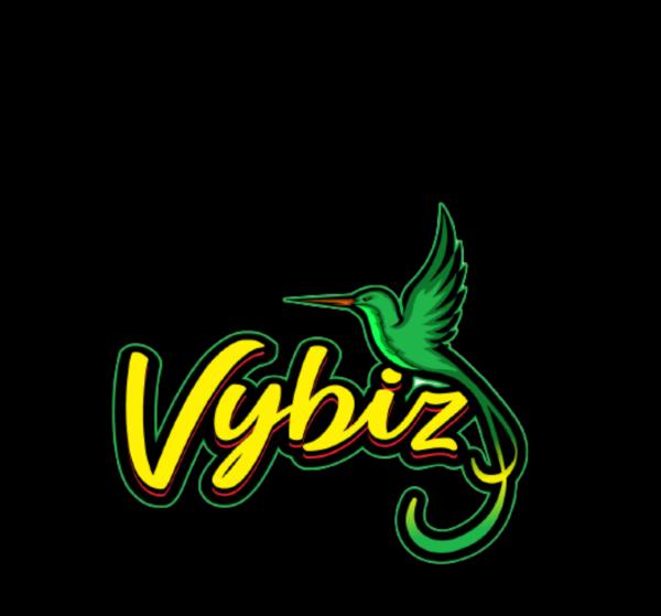 Vybiz Caribbean cuisine food truck