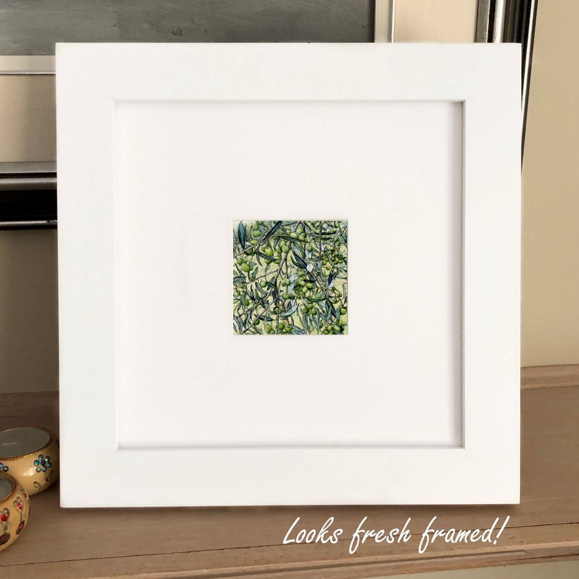 Assisi Olive Tree picture