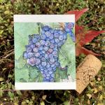 Nebbiolo Grapes