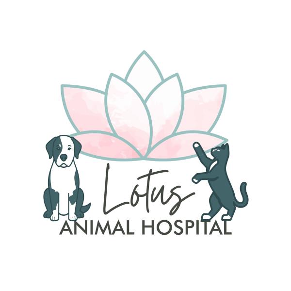 Lotus Animal Hospital