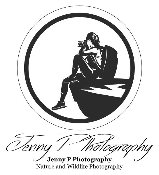 Jenny P Photography