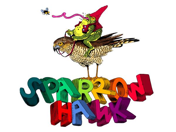 Sparrowhawk Studio