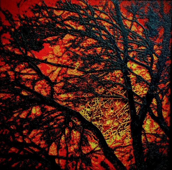 Moon Through Trees (Orange) picture