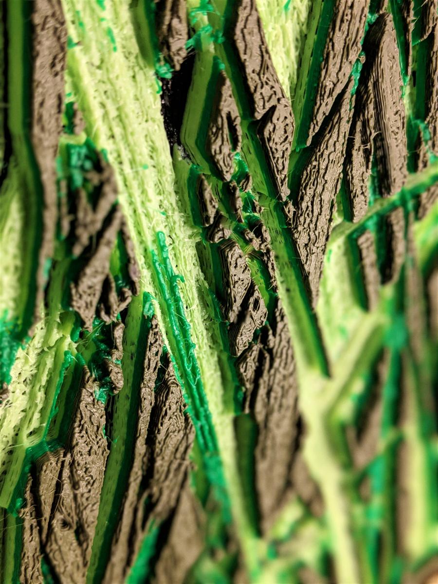 Iris in Long Grass picture