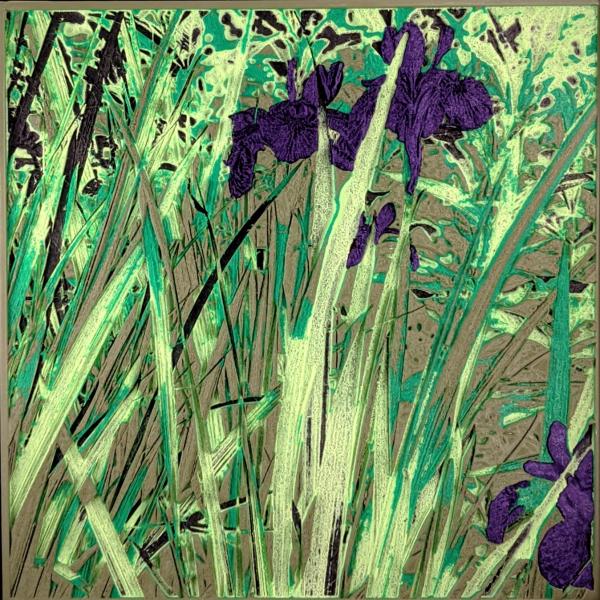 Iris in Long Grass picture