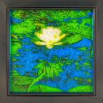 Midnight Lily Pad