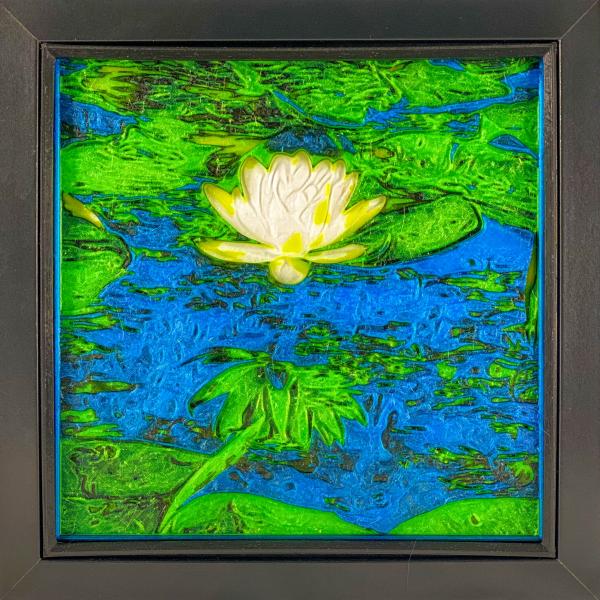 Midnight Lily Pad