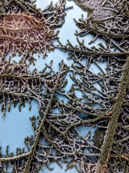 Larch over hill picture