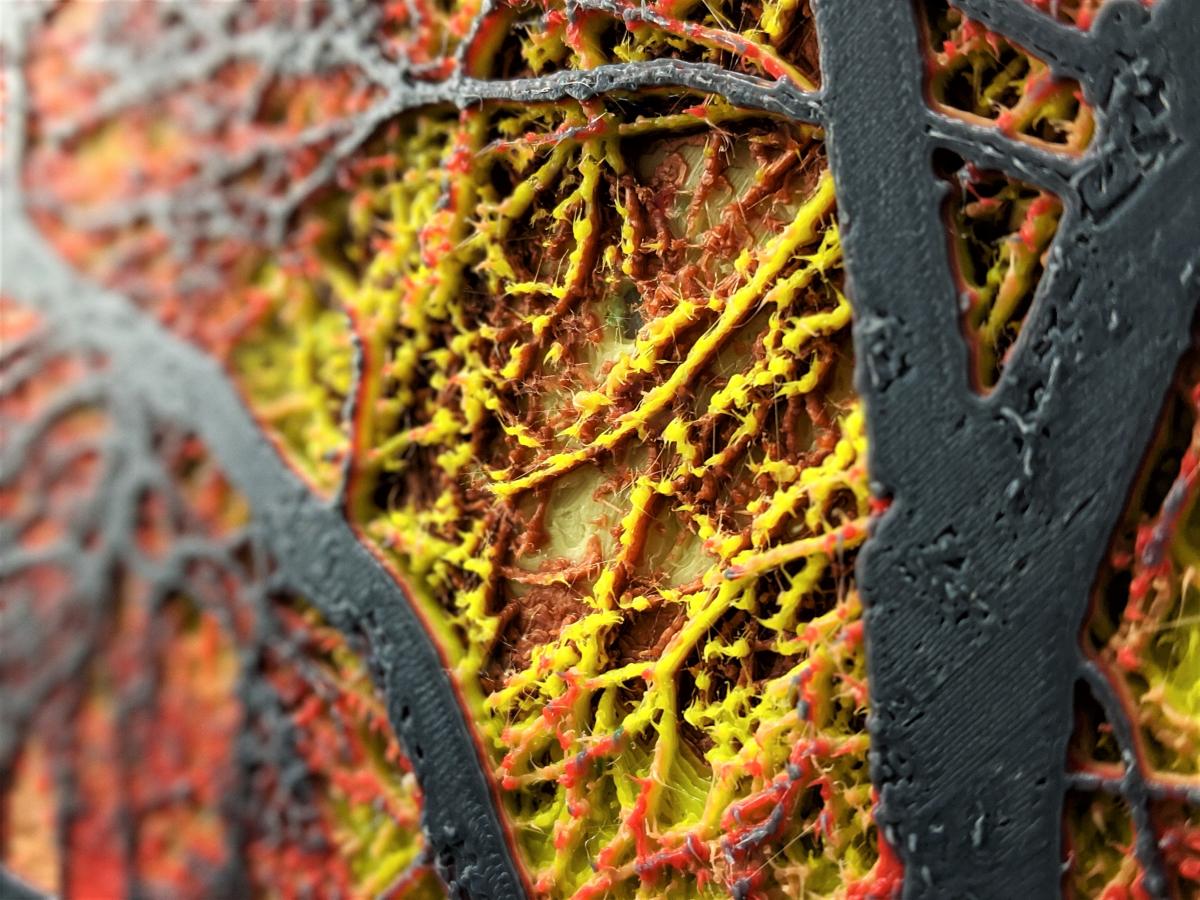 Moon Through Trees (Orange) picture
