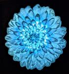 Dahlia - Glacier blue