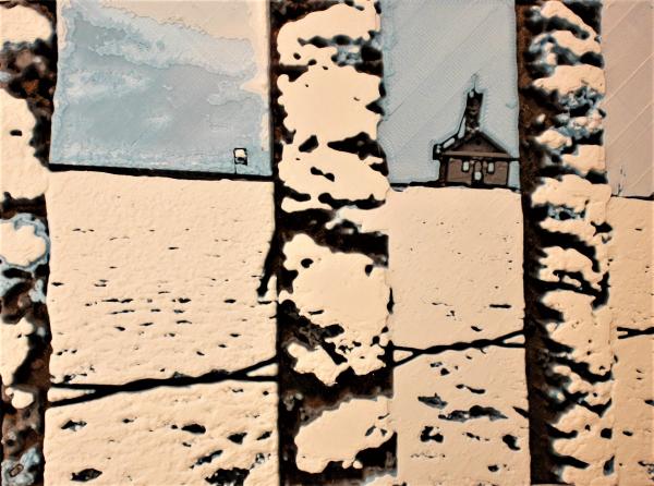 Winter beach through cedar fence picture