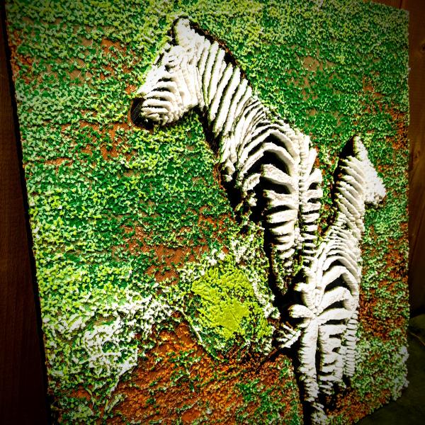 Zebras picture