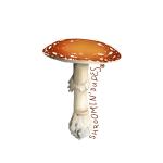 Shroomin' Dudes