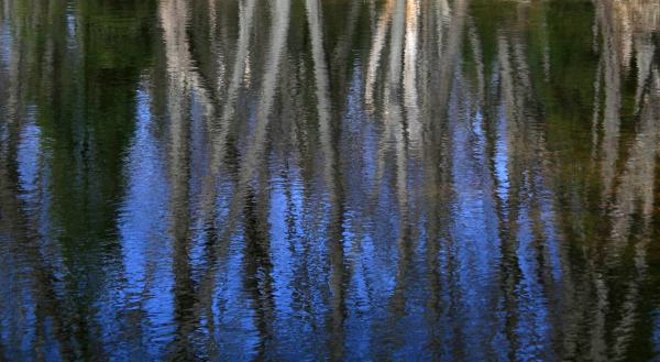 Blue Reflection picture