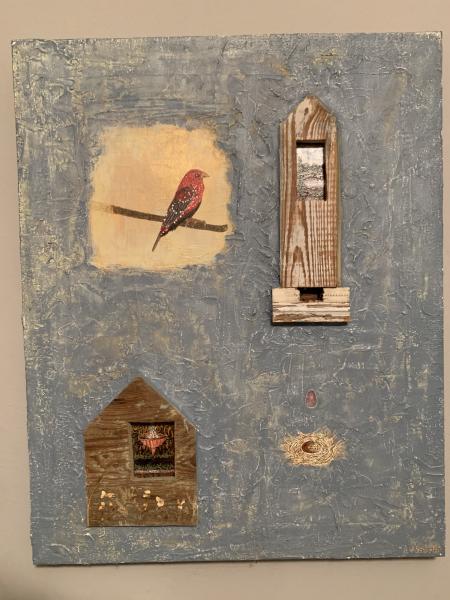 Bird Watching Houses picture