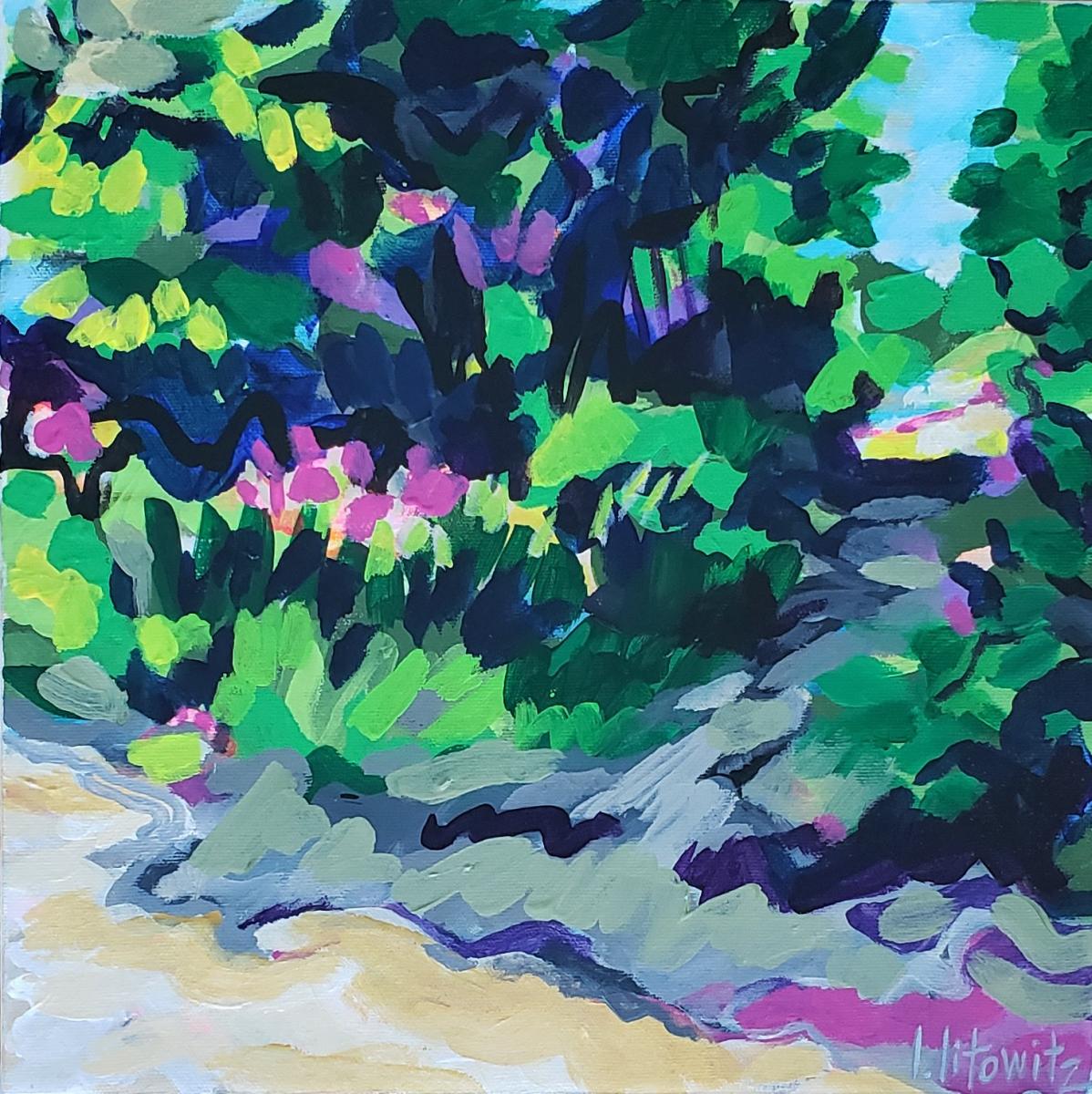 Sophia Beach 2 picture