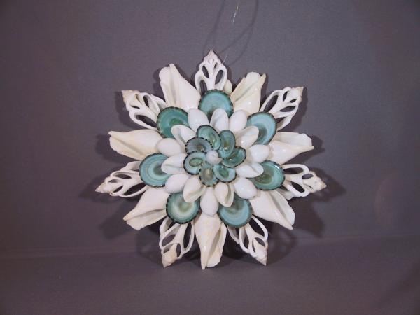 Shell Designs